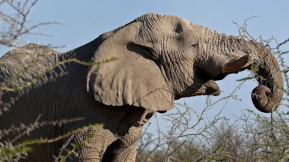 Namibia_10_20150388.jpg