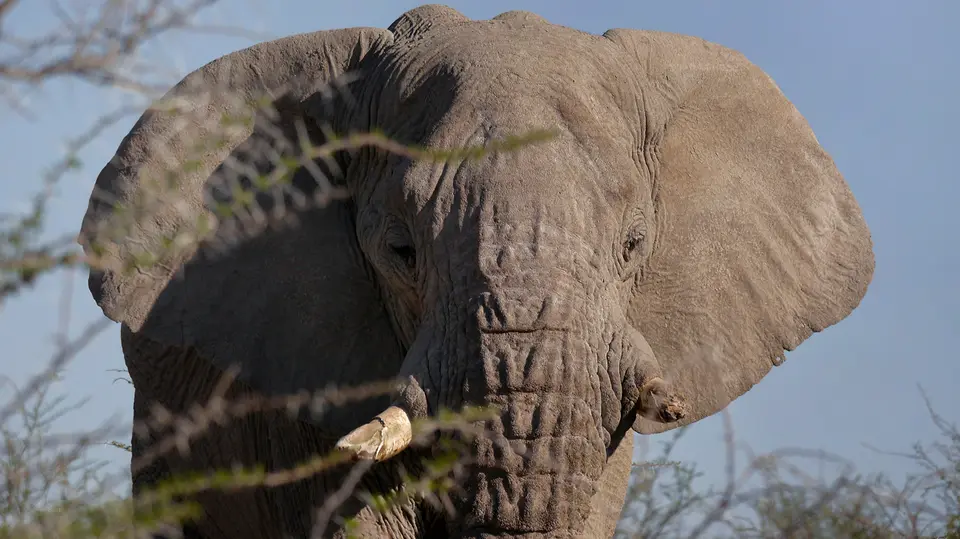 Namibia_10_20150391.jpg