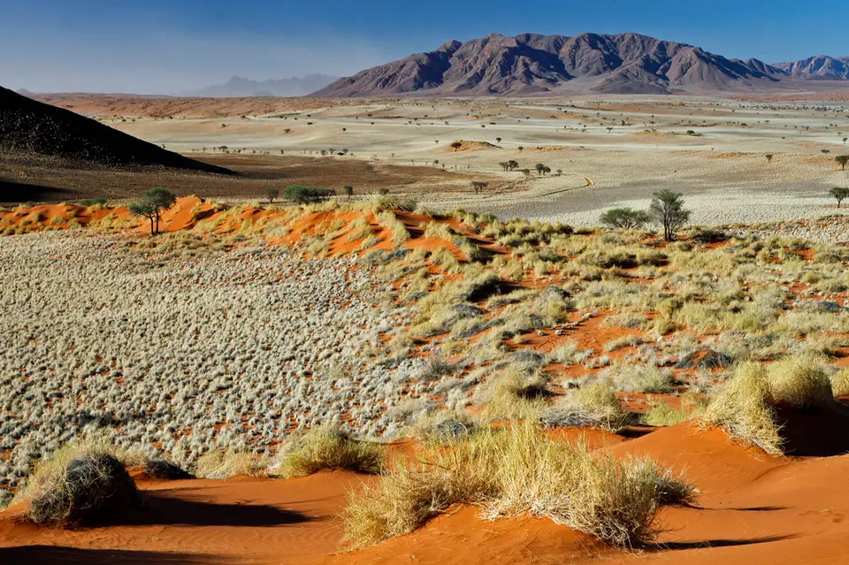 Namibia_10_20150399.jpg