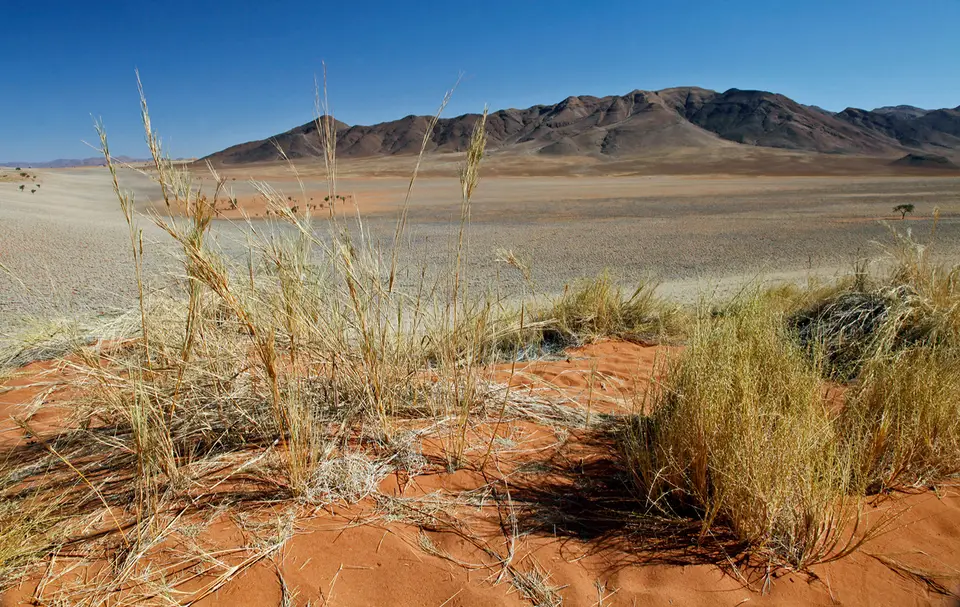 Namibia_10_20150430.jpg