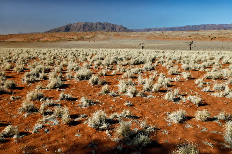 Namibia_10_20150432.jpg