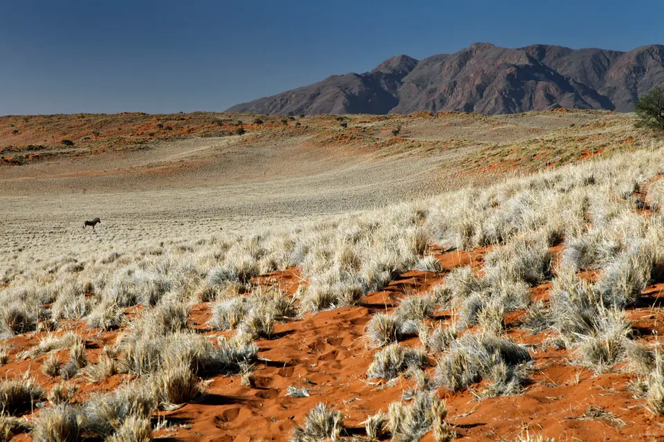 Namibia_10_20150433.jpg