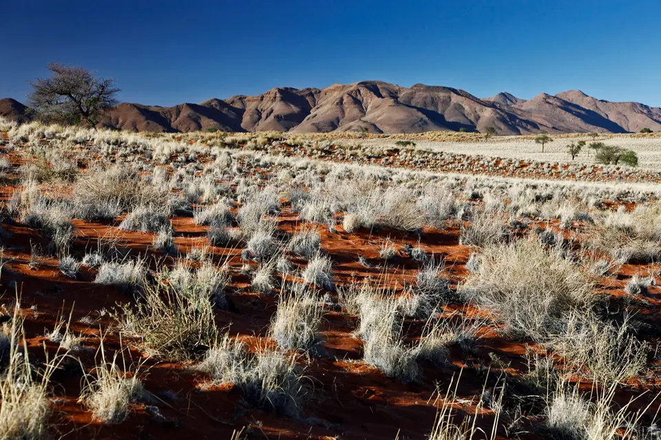 Namibia_10_20150447.jpg