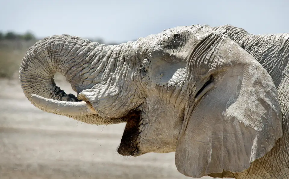 Namibia_10_20150452.jpg