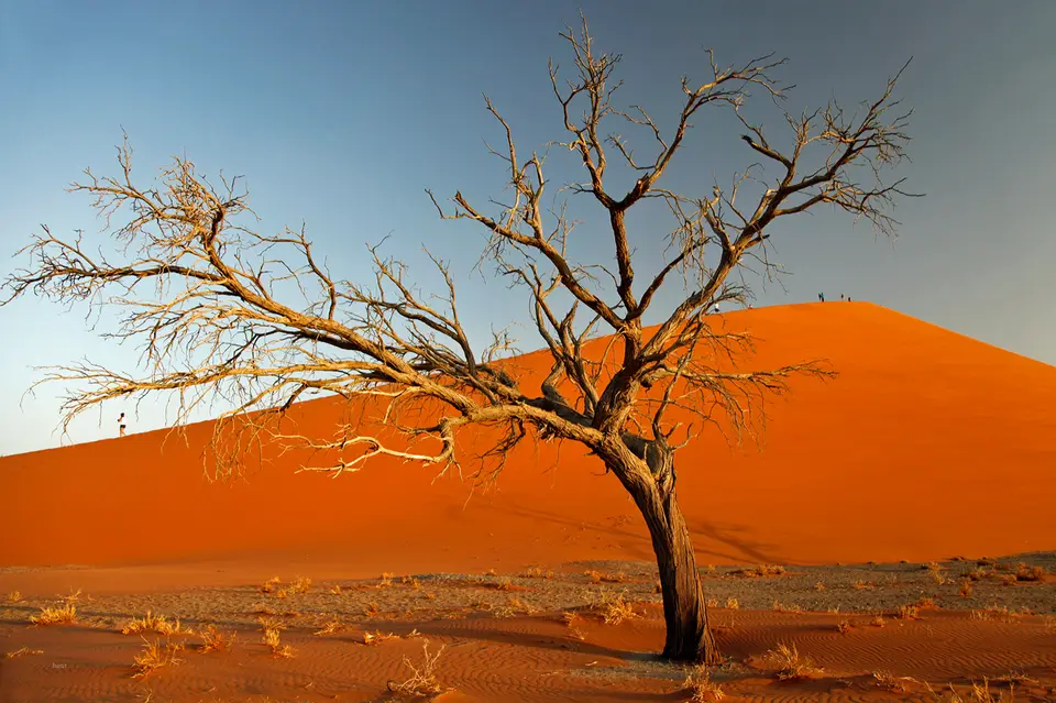 Namibia_10_20150455.jpg