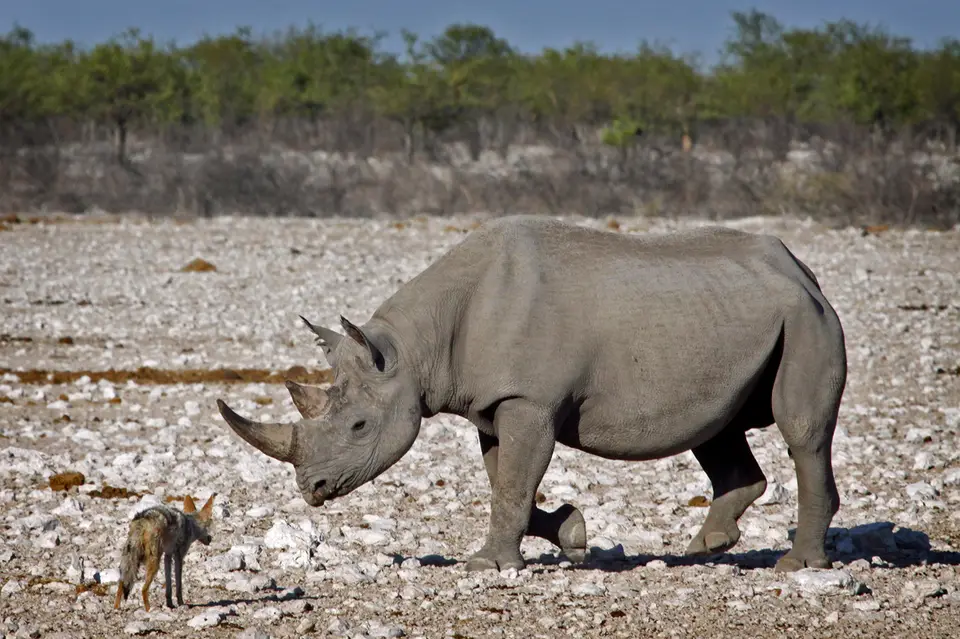 Namibia_10_20150458.jpg