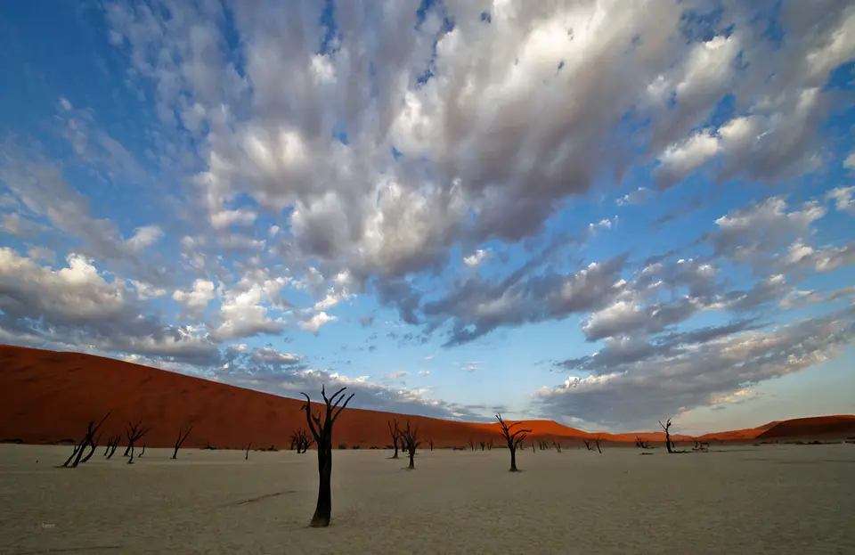 Namibia_10_20150459.jpg