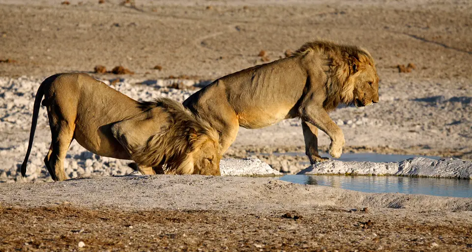 Namibia_10_20150462.jpg