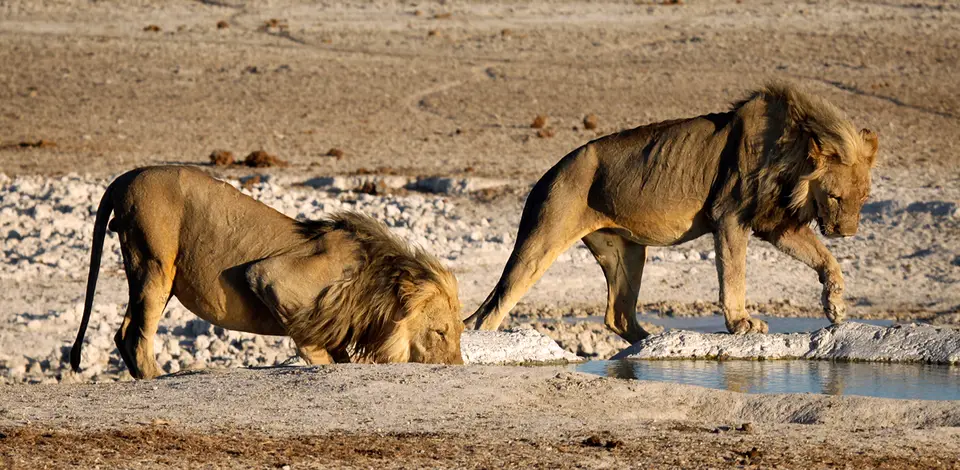 Namibia_10_20150463.jpg