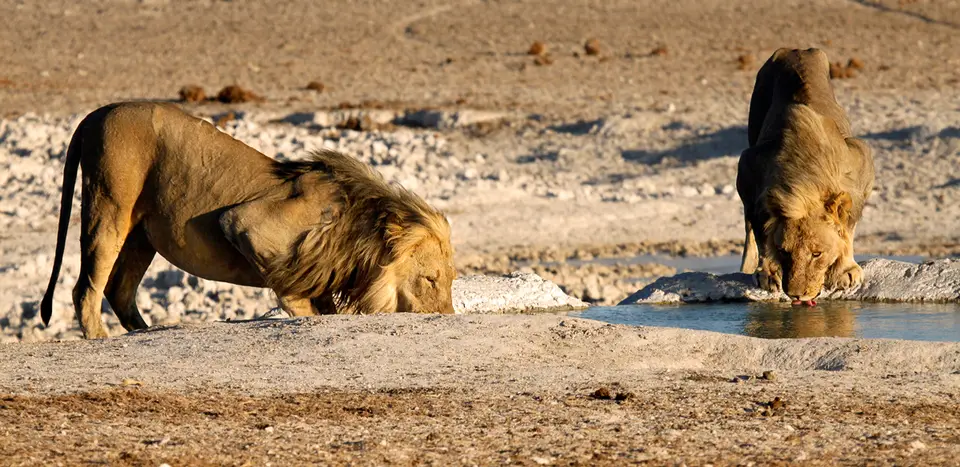 Namibia_10_20150465.jpg
