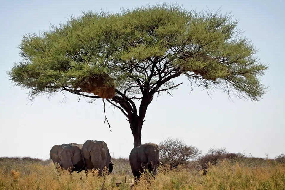 Namibia_10_20150492.jpg