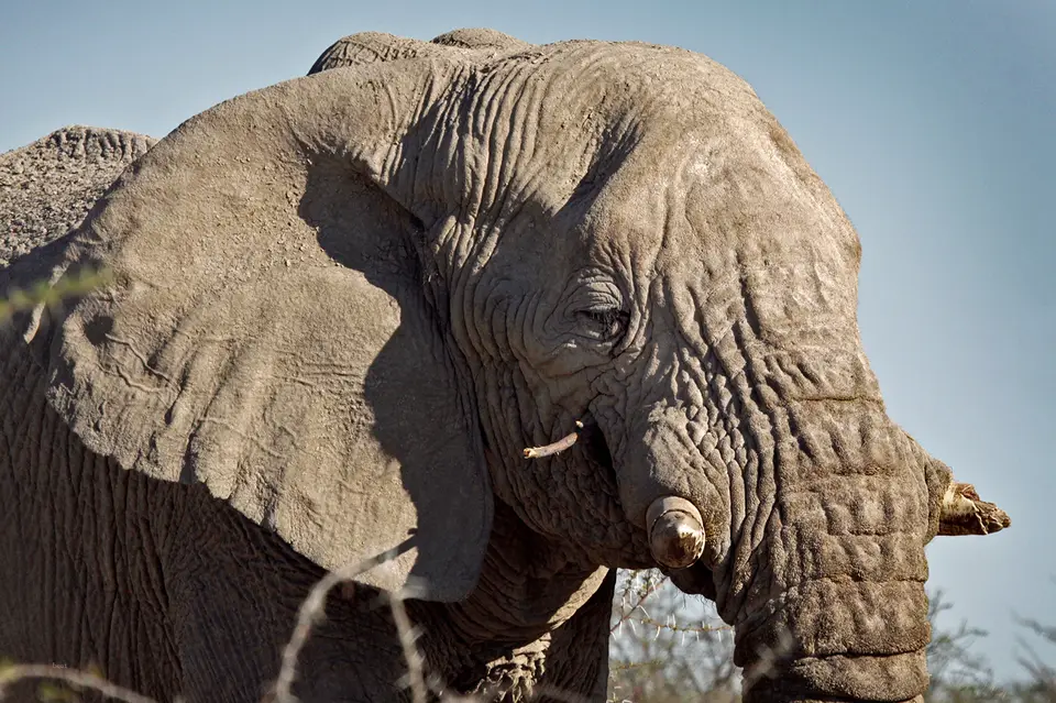 Namibia_10_20150499.jpg