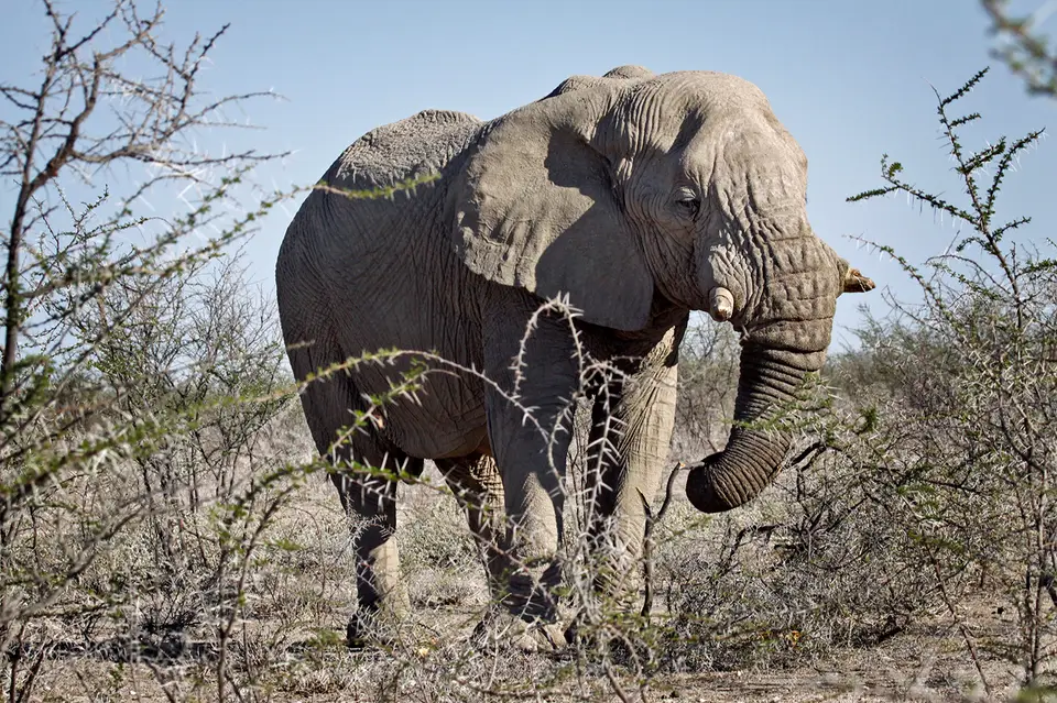Namibia_10_20150502.jpg