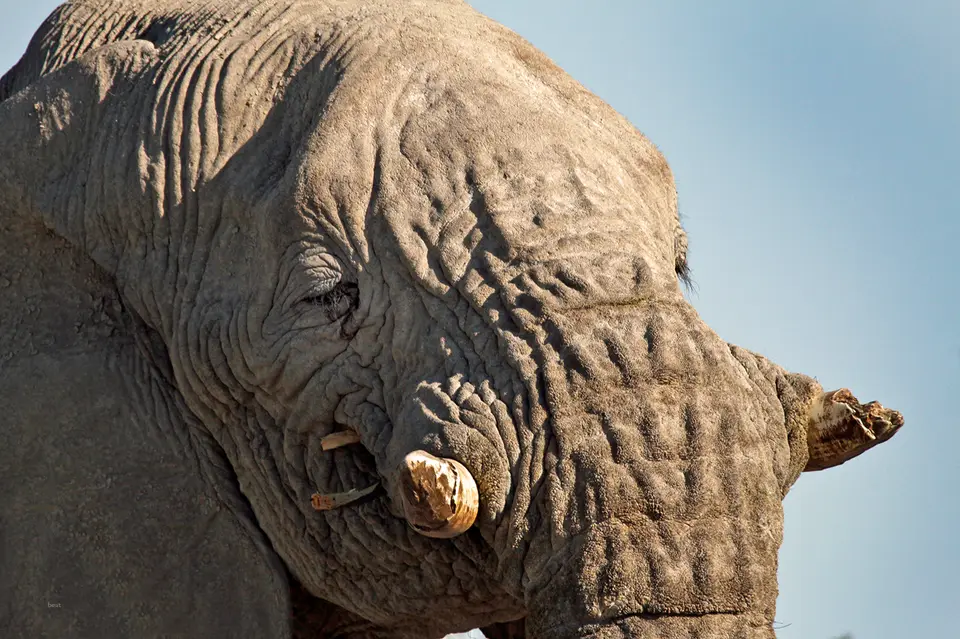 Namibia_10_20150504.jpg
