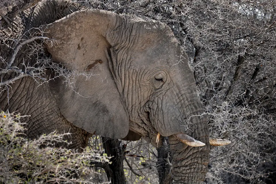 Namibia_10_20150519.jpg