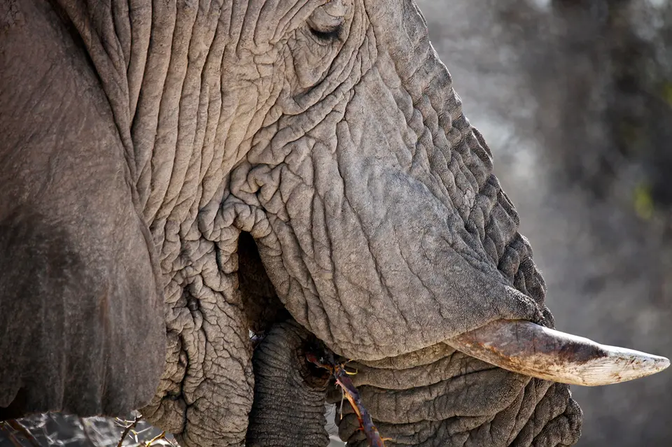 Namibia_10_20150520.jpg