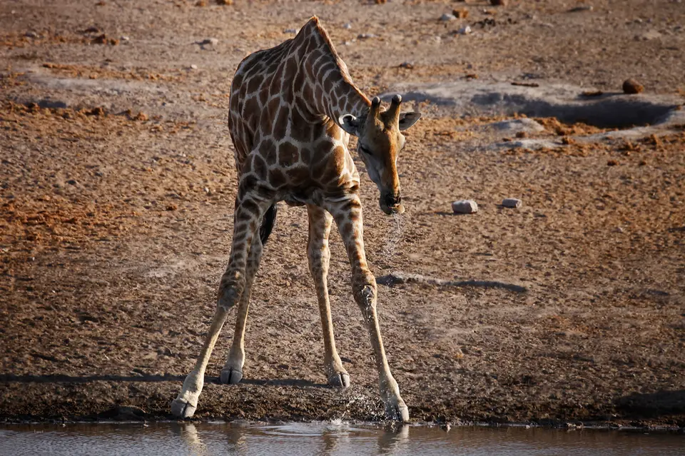 Namibia_10_20150523.jpg