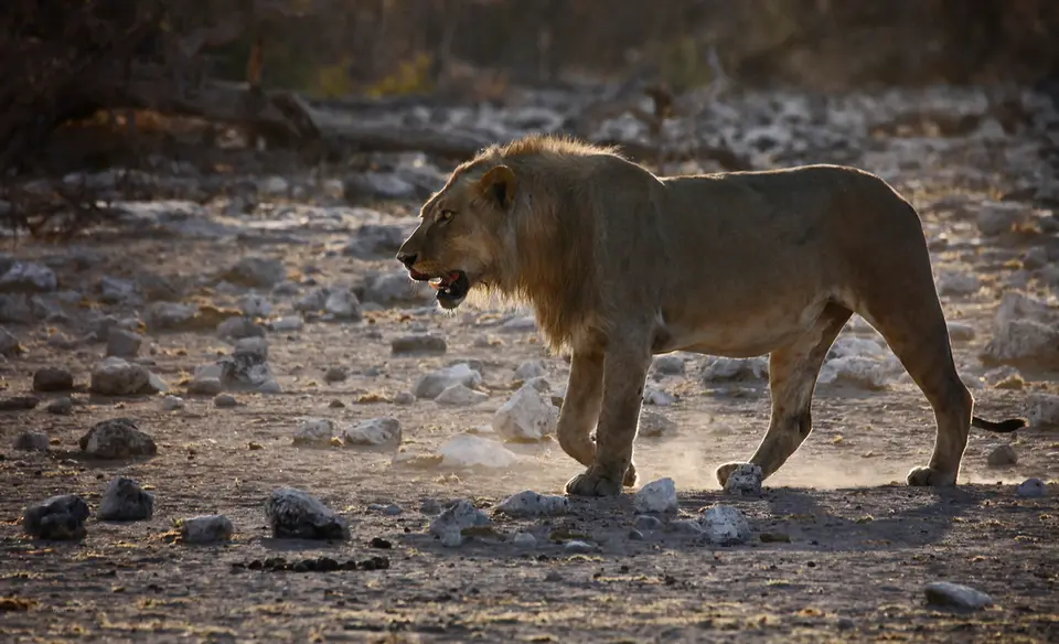 Namibia_10_20150526.jpg