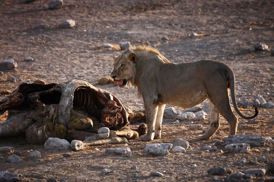 Namibia_10_20150527.jpg