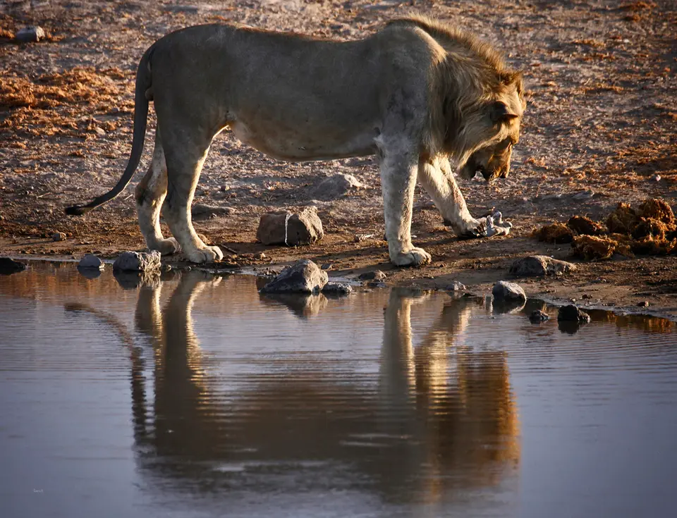 Namibia_10_20150530.jpg