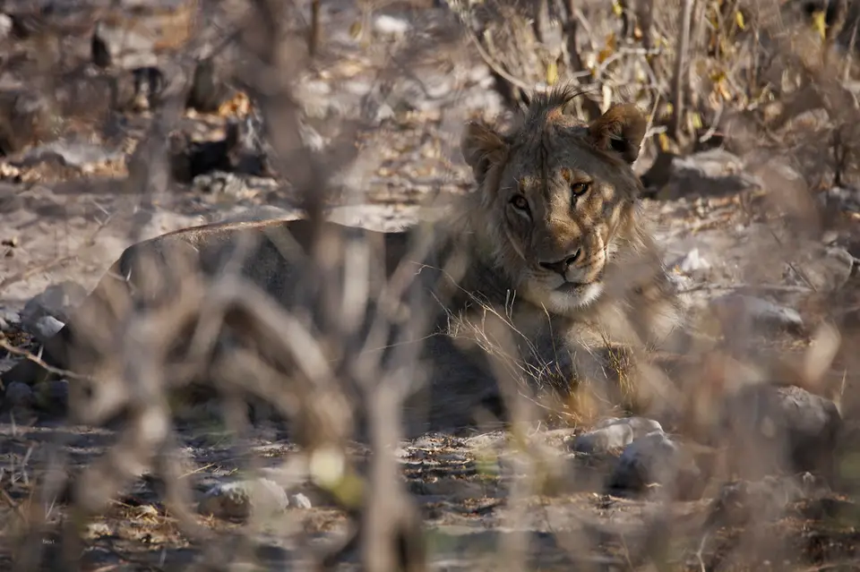 Namibia_10_20150536.jpg