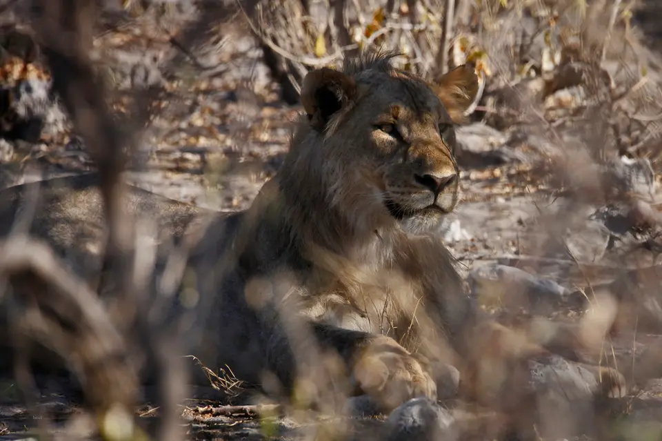Namibia_10_20150537.jpg