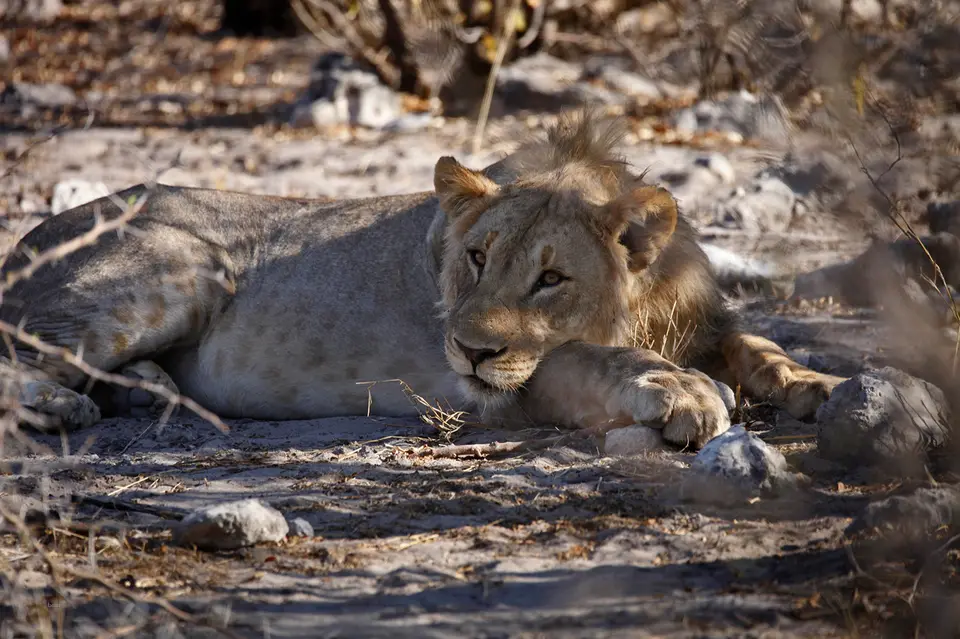 Namibia_10_20150538.jpg