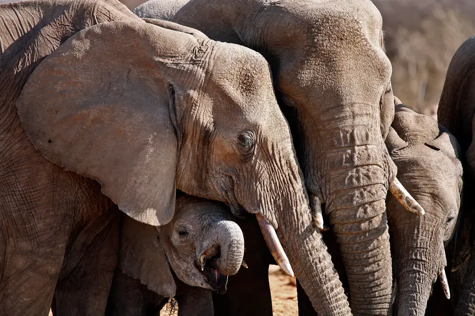 Namibia_10_20150540.jpg