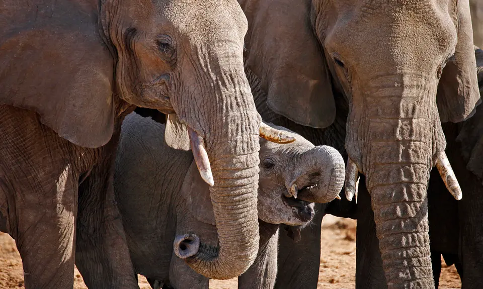 Namibia_10_20150541.jpg
