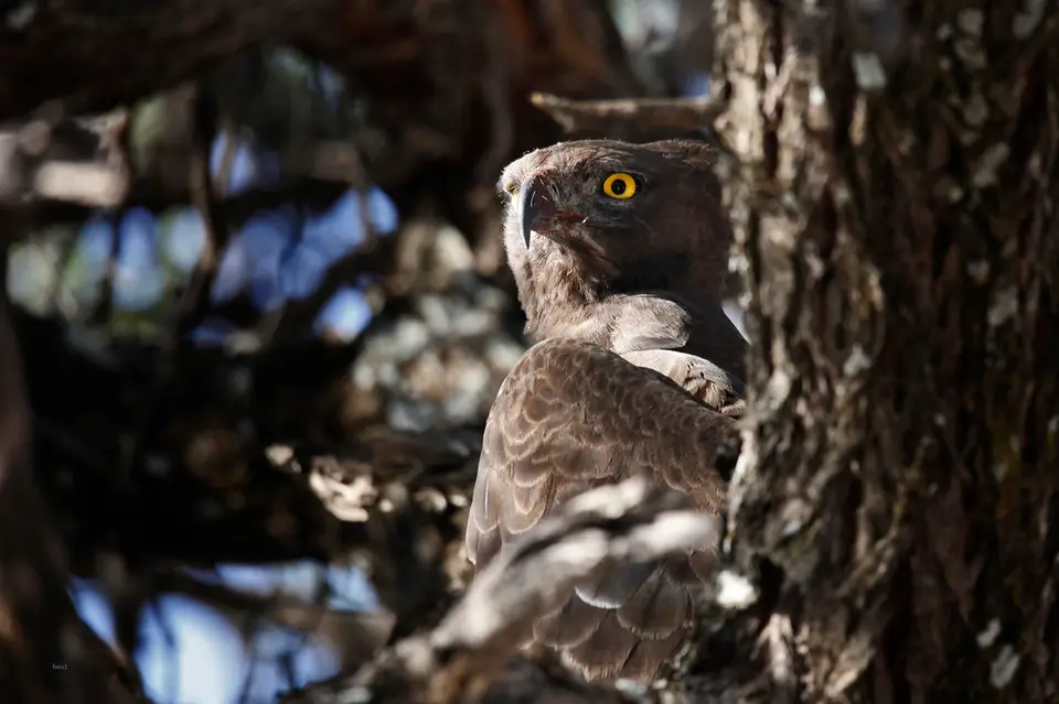 Namibia_10_20150560.jpg