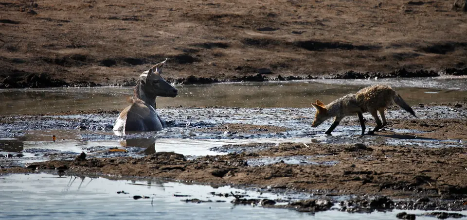 Namibia_10_20150563.jpg