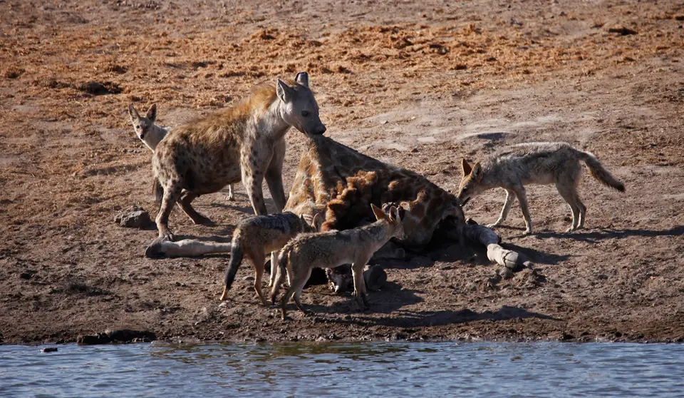 Namibia_10_20150564.jpg
