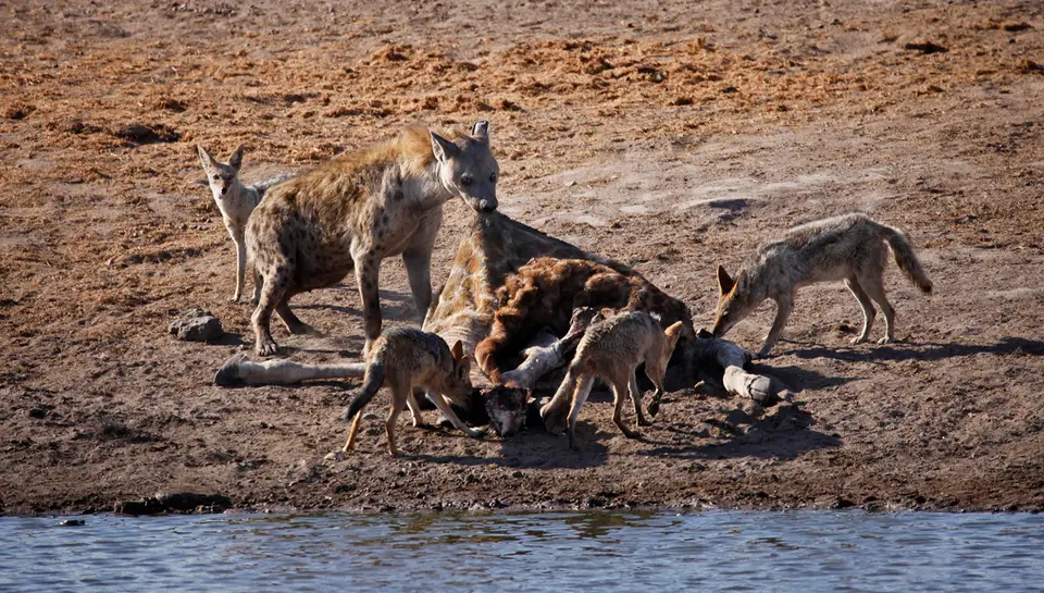 Namibia_10_20150565.jpg