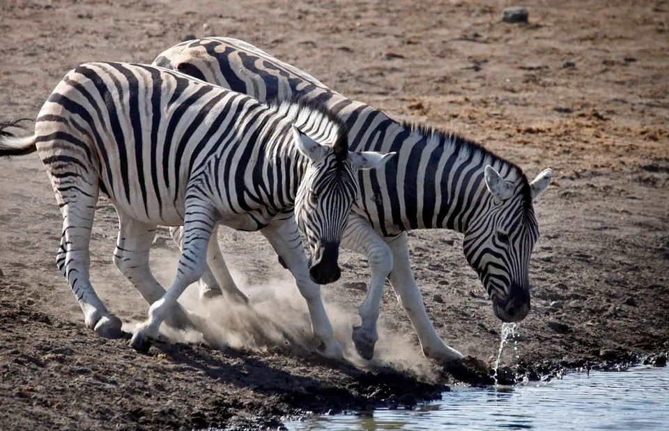 Namibia_10_20150567.jpg