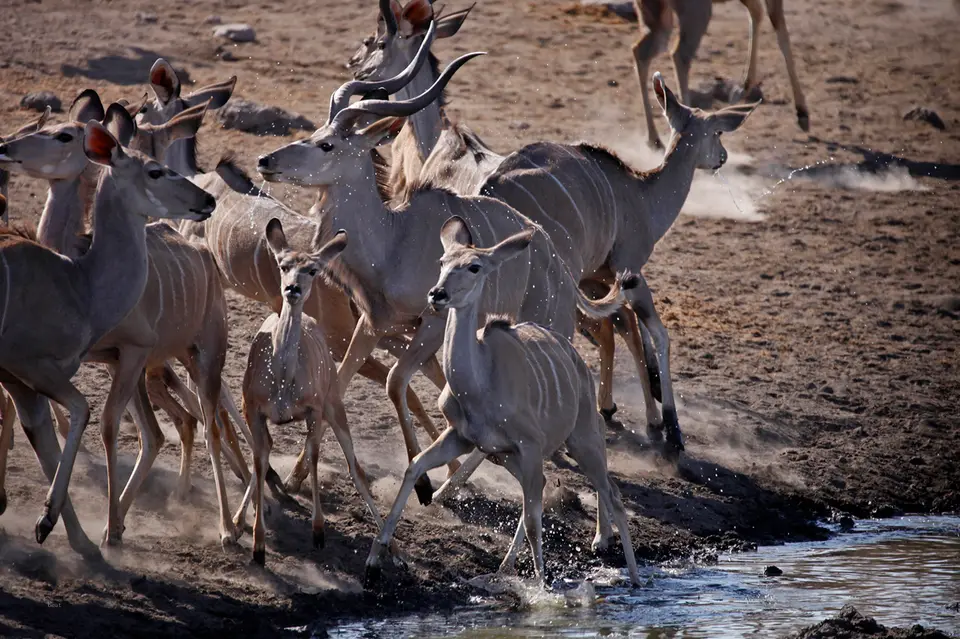Namibia_10_20150569.jpg