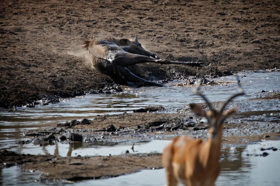 Namibia_10_20150570.jpg