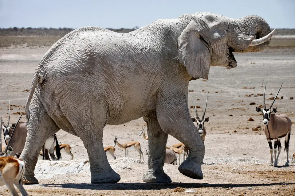 Namibia_10_20150601.jpg