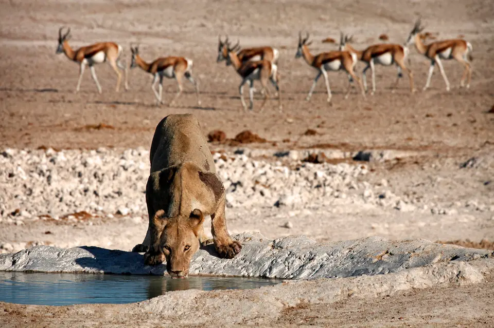 Namibia_10_20150609.jpg