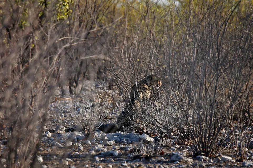 Namibia_10_20150610.jpg