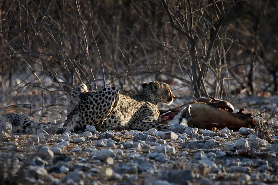 Namibia_10_20150613.jpg