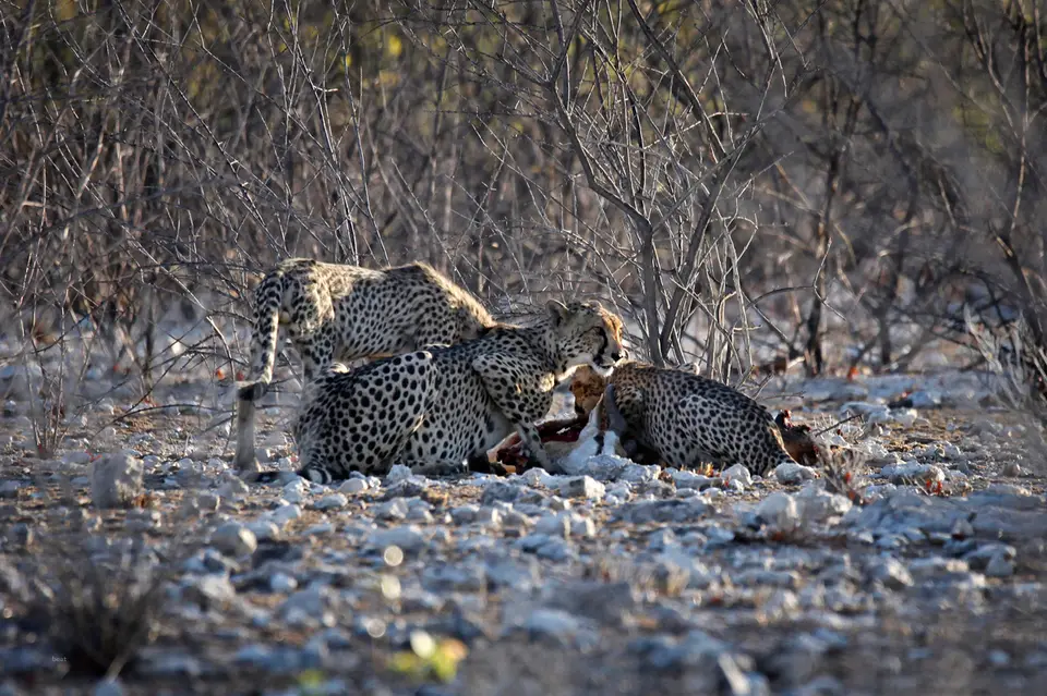 Namibia_10_20150620.jpg