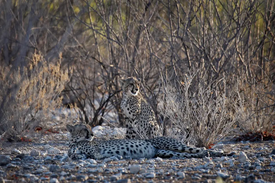 Namibia_10_20150629.jpg