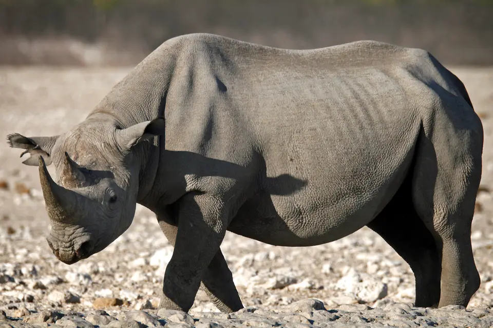 Namibia_10_20150643.jpg