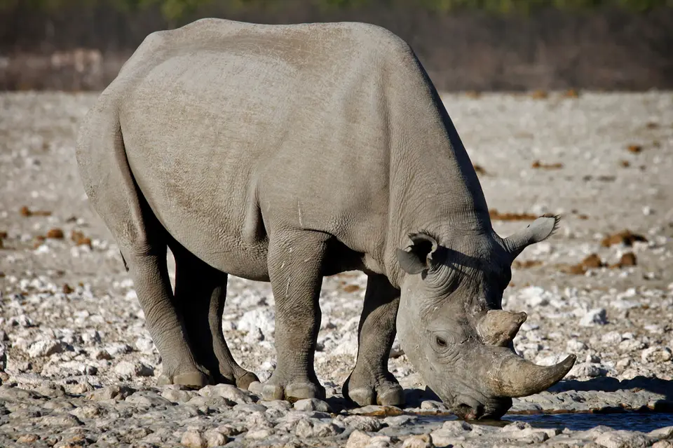 Namibia_10_20150644.jpg