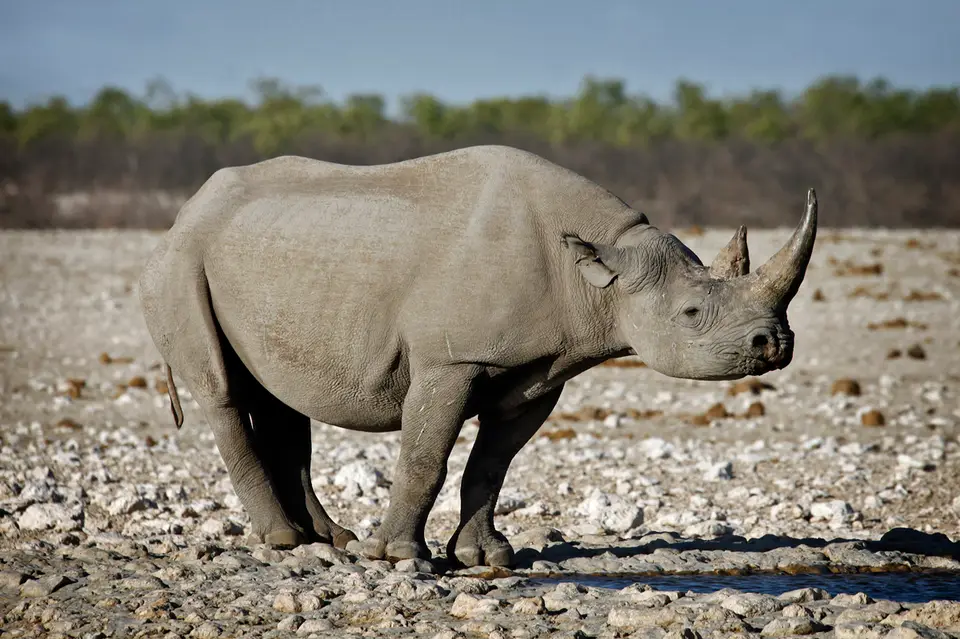Namibia_10_20150645.jpg
