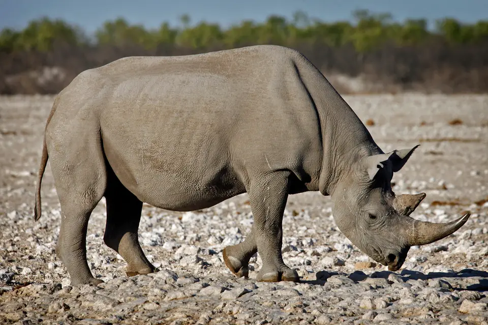 Namibia_10_20150646.jpg