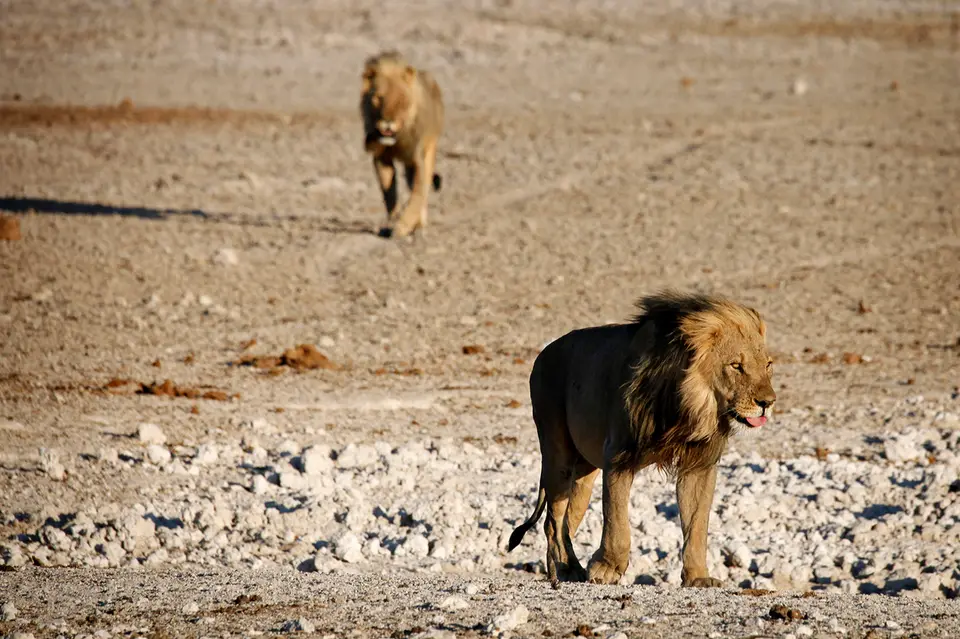 Namibia_10_20150647.jpg
