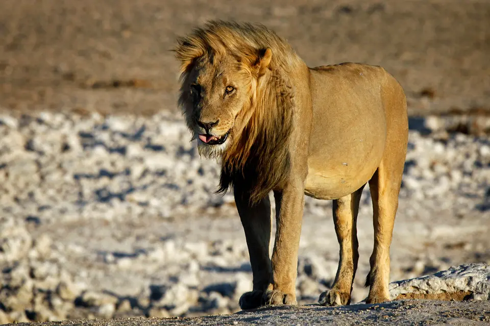 Namibia_10_20150658.jpg