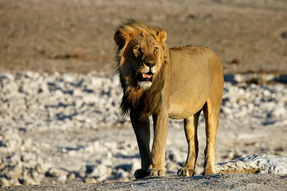 Namibia_10_20150663.jpg