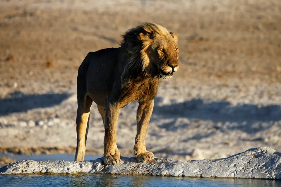 Namibia_10_20150665.jpg